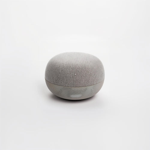 BLUETOOTH A.I. ASSISTANT SPEAKER